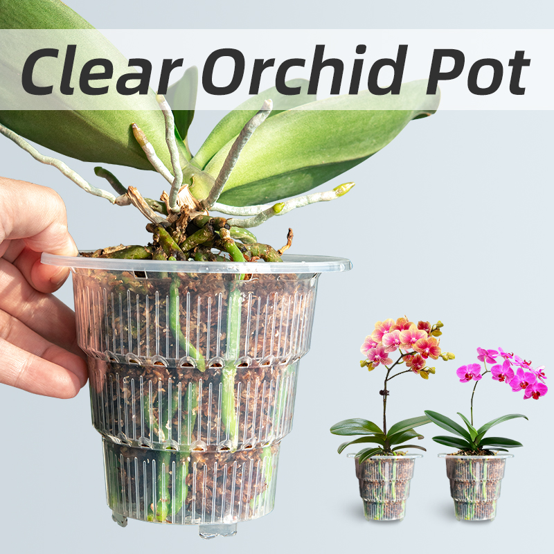 Aloe Vera Pot - Meshpot Doorzichtige plastic orchideeënpotten met gaten