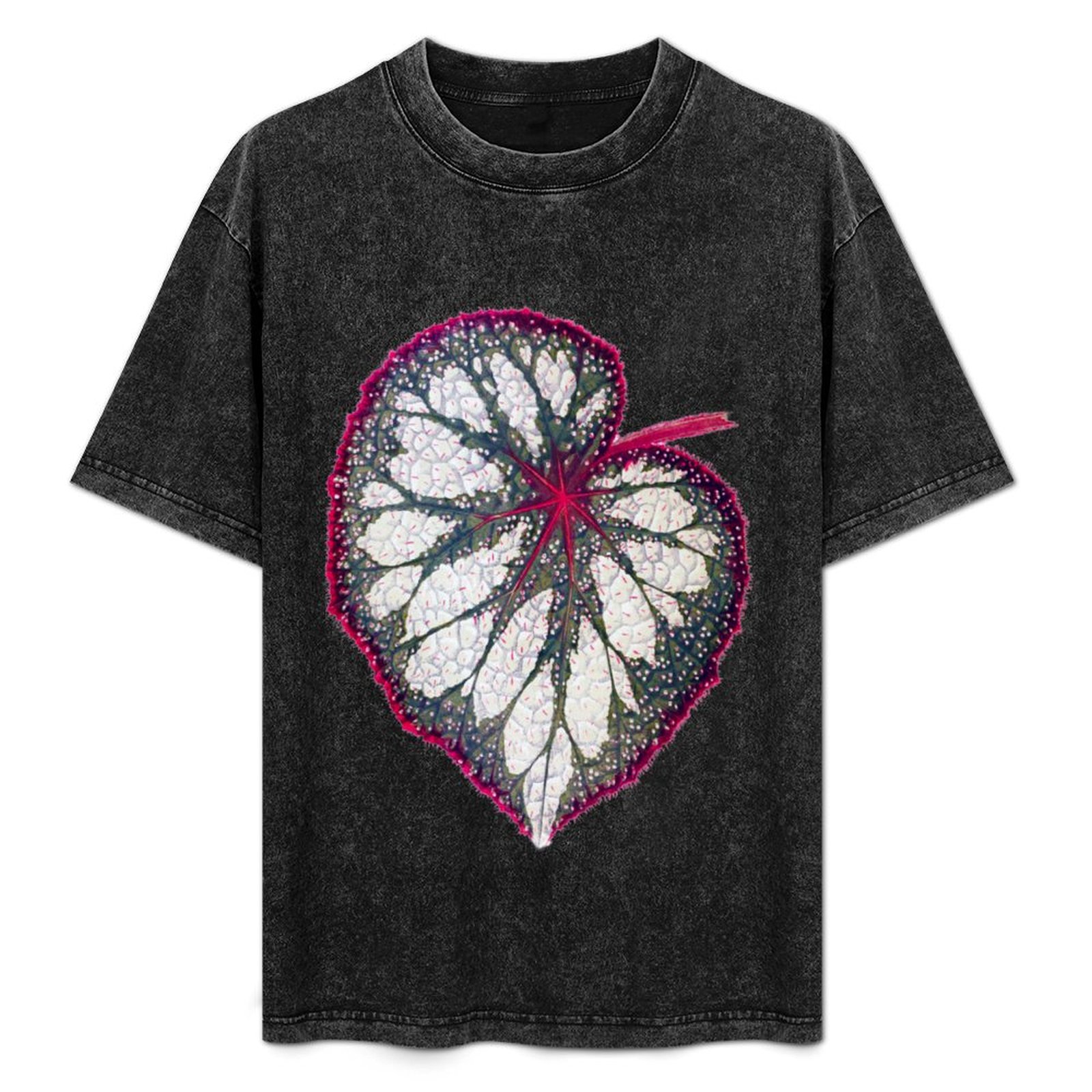 Begonia Rex - Begonia rex T-shirt Vakantie eenvoudig T-shirt