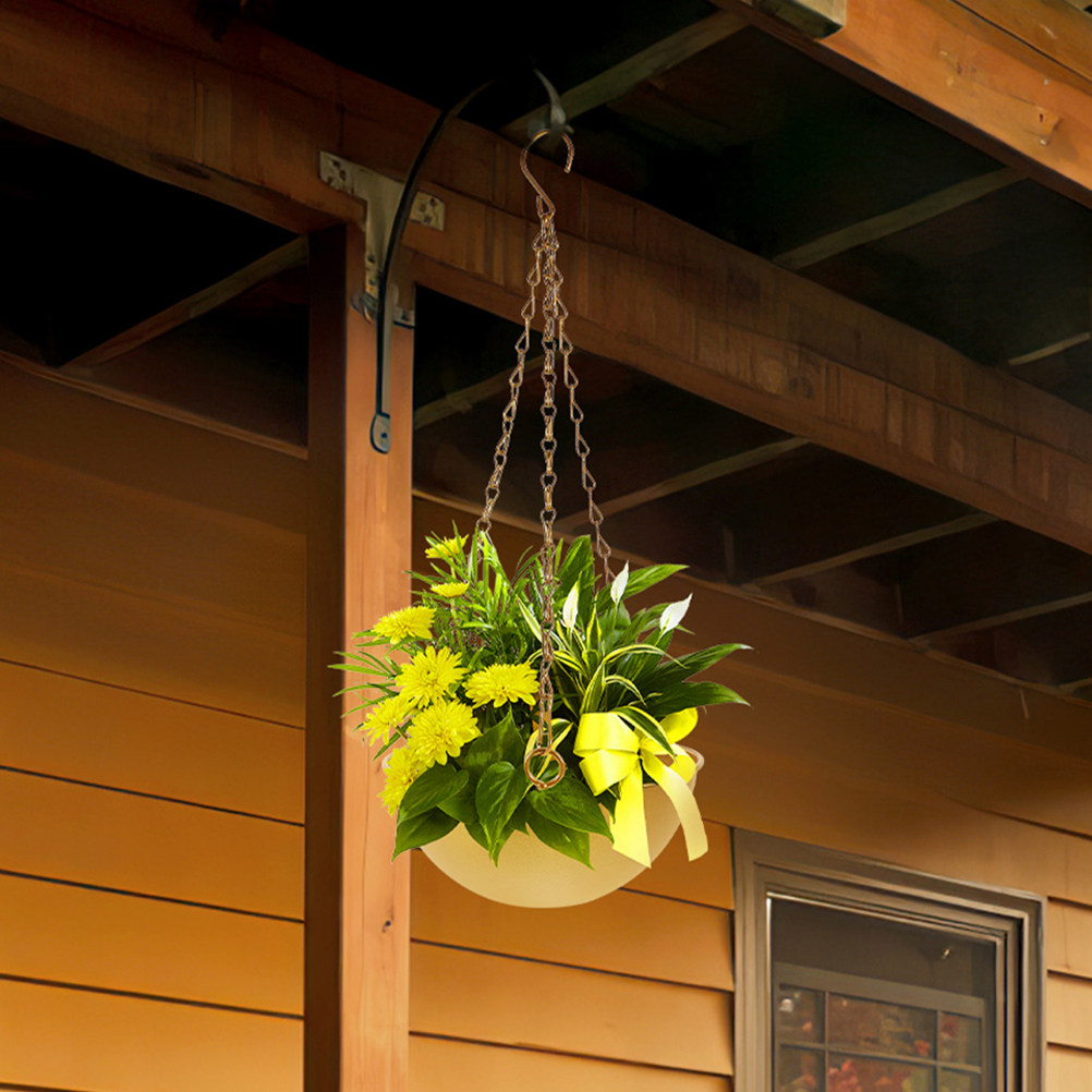 Spider Plant Hanging - 2 stuks stevige ijzeren hangende bloempotten,
