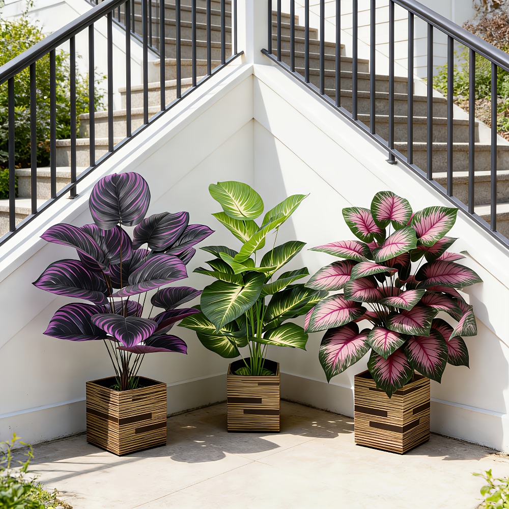 3-delige set met diverse grote - Ficus Lyrata Tree recensie en prijs