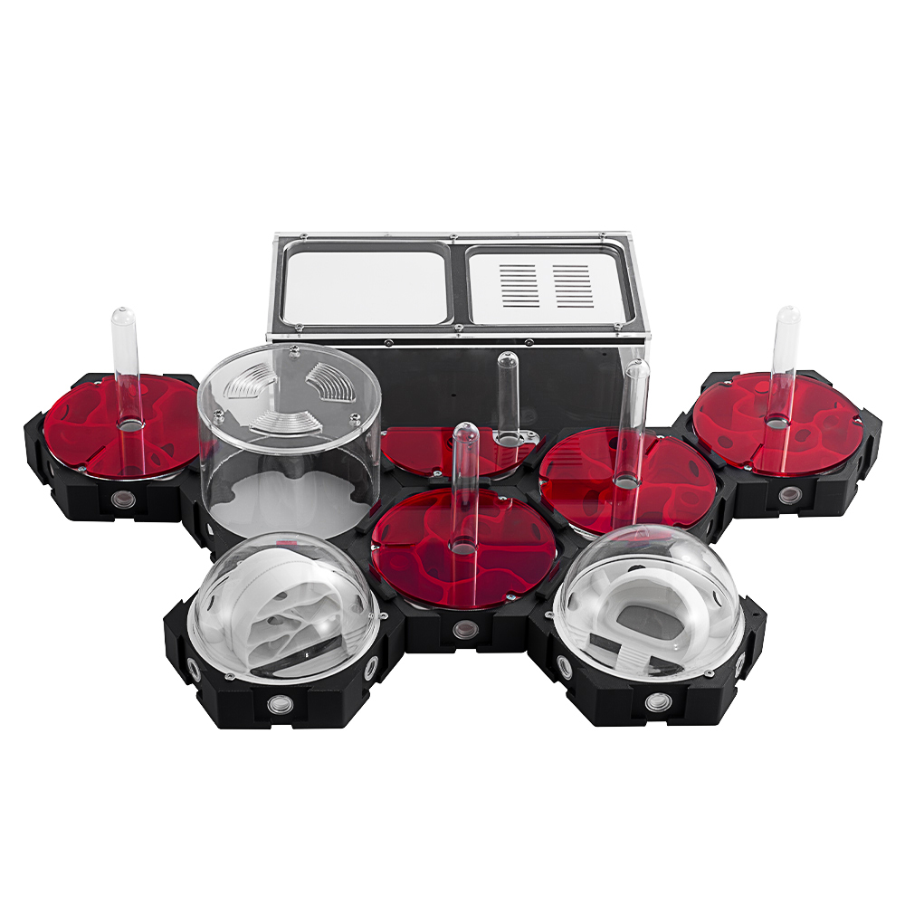 3d Printing Mierenboerderij On - Begonia Rex recensie en prijs