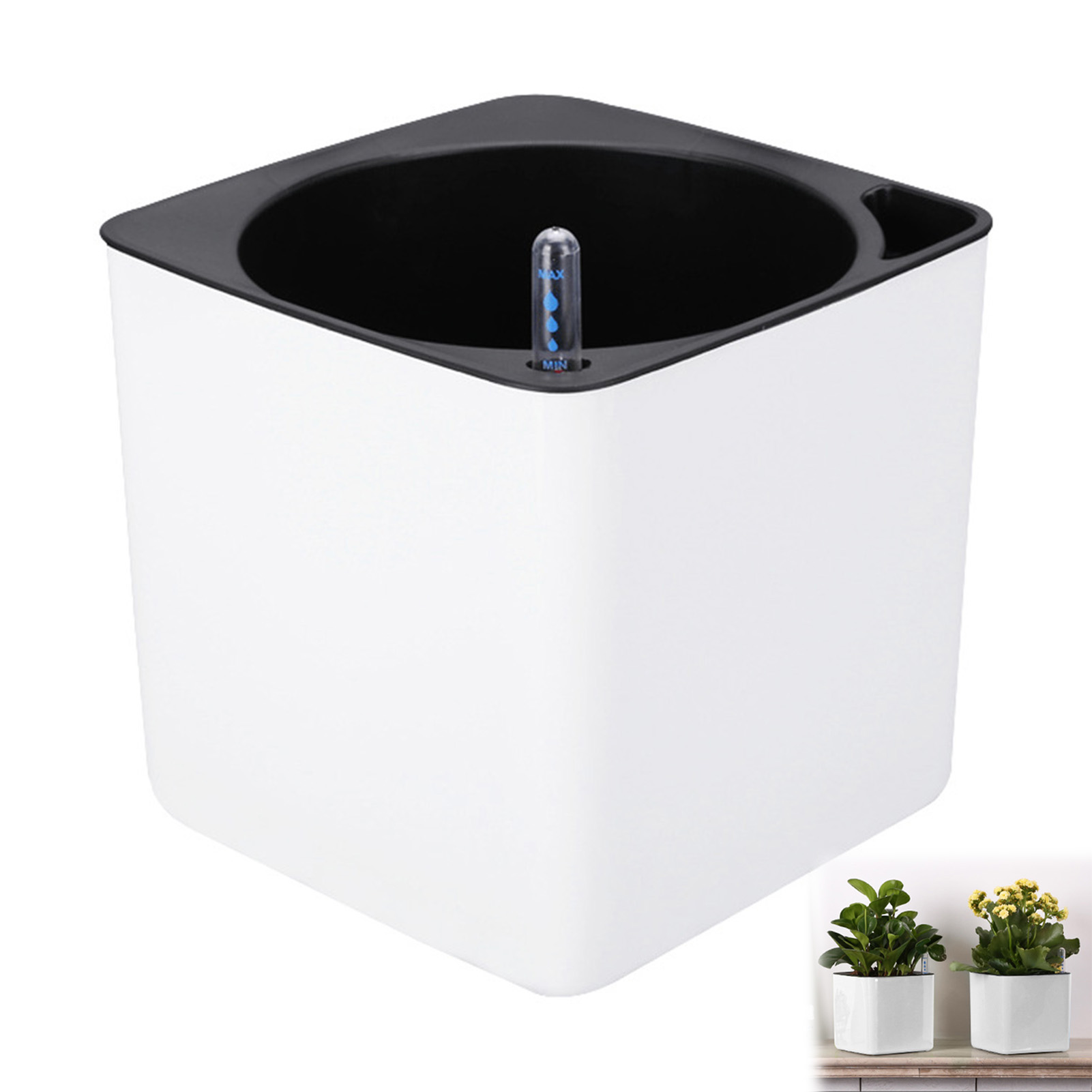 Automatische zelfwater gevende - Aloe Vera Pot recensie en prijs