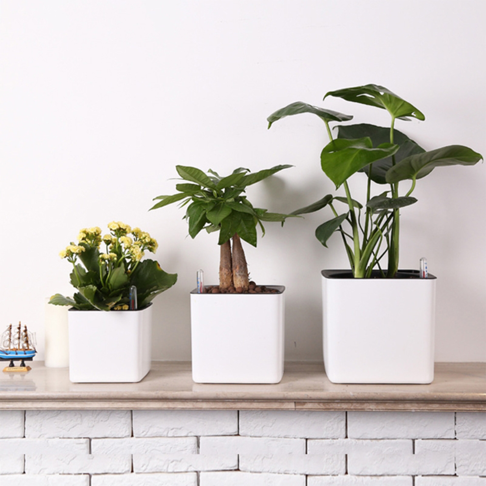 Automatische zelfwater gevende - Aloe Vera Pot recensie en prijs