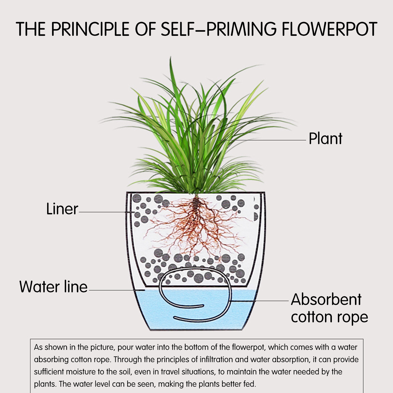 Automatische zelfwater gevende - Aloe Vera Pot recensie en prijs