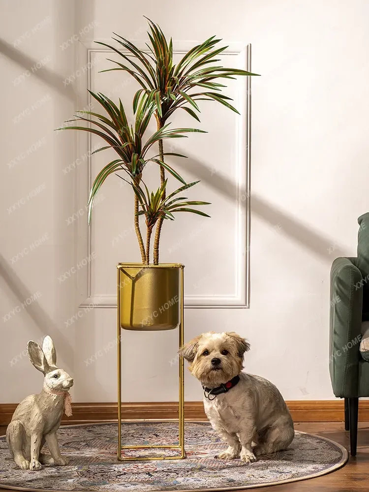 Simulatie Kleurrijke Paardenst - Dracaena Marginata recensie en prijs