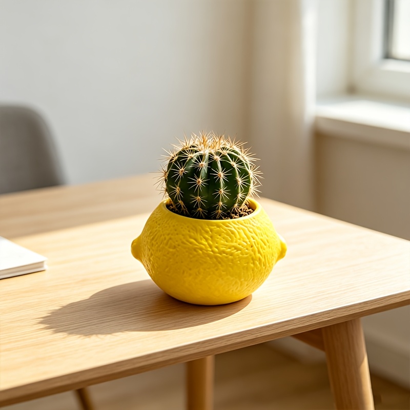 Citroenvormige decoratieve pla - Echeveria Succulent recensie en prijs