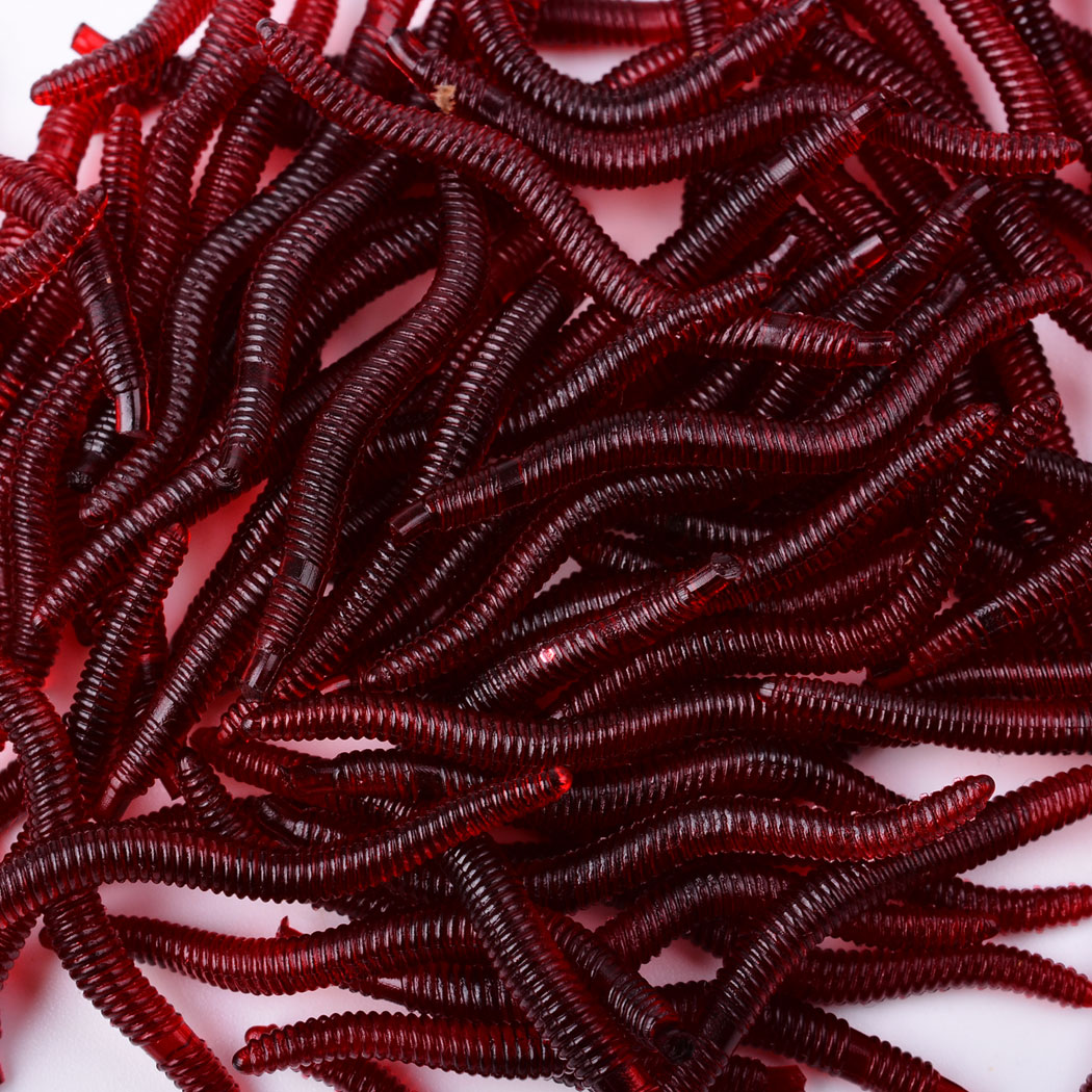 50Pcs Levensechte Rode Worm Za - Aglaonema Red recensie en prijs