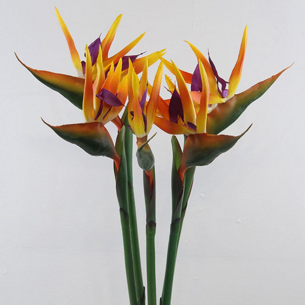 1Pc 80Cm Bloem Paradijsvogel K - Bird Paradise Strelitzia recensie en prijs