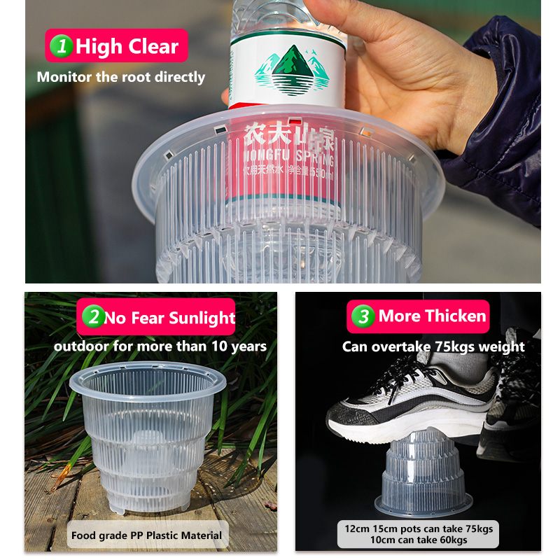 Meshpot Doorzichtige plastic o - Aloe Vera Pot recensie en prijs
