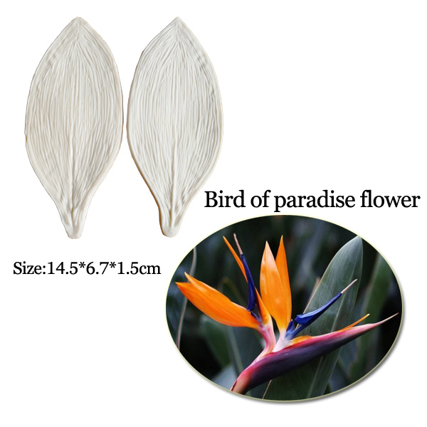 Grote Gumpaste Strelitzia Para - Bird Paradise Strelitzia recensie en prijs