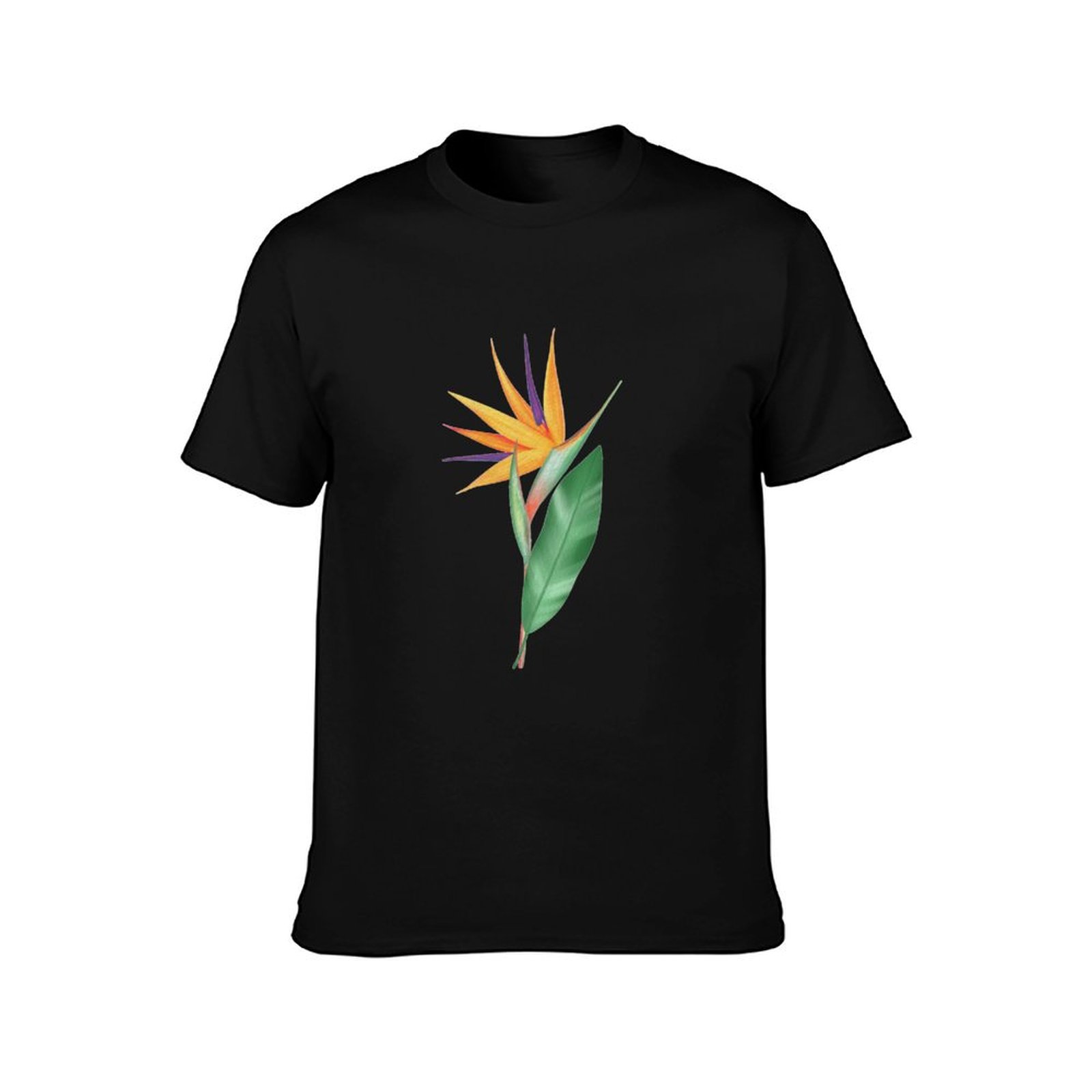 Aquarel paradijsvogelbloem of  - Bird Paradise Strelitzia recensie en prijs