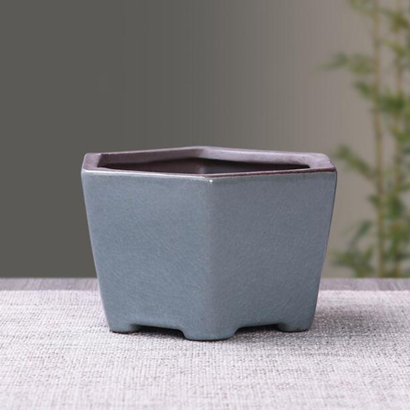 Retro Keramische Bloempot Aspe - Echeveria Succulent recensie en prijs
