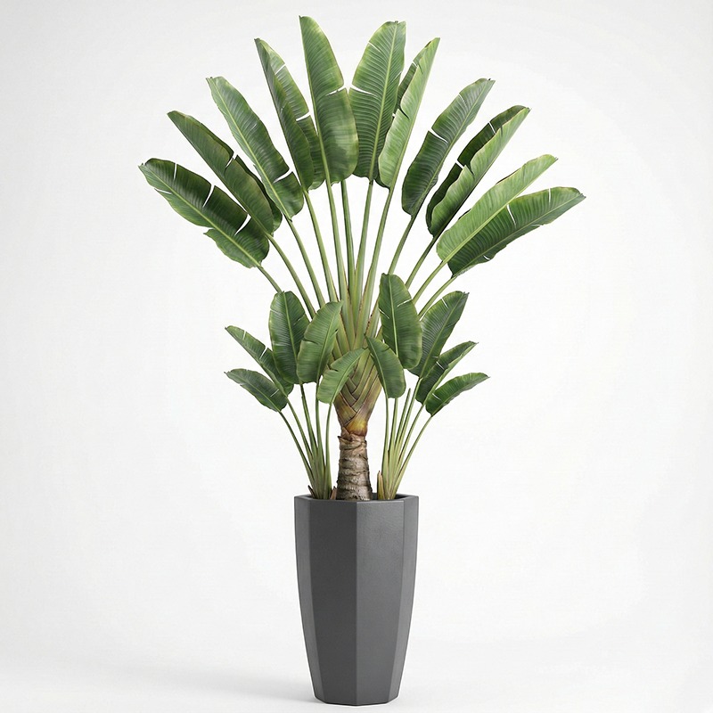Hoogrealistische kunstmatige F - Ficus Lyrata Tree recensie en prijs