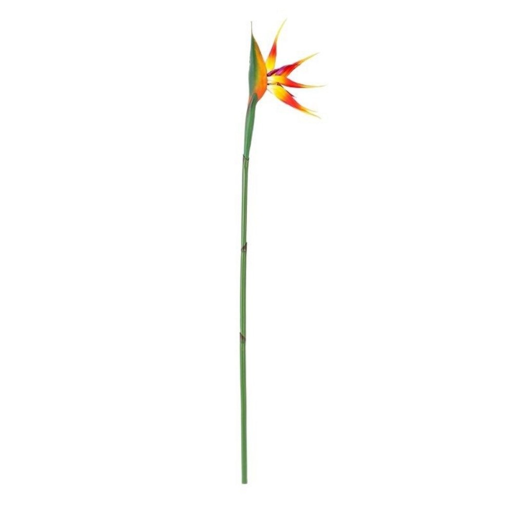 Kunstmatige Paradijsvogelbloem - Bird Paradise Strelitzia recensie en prijs