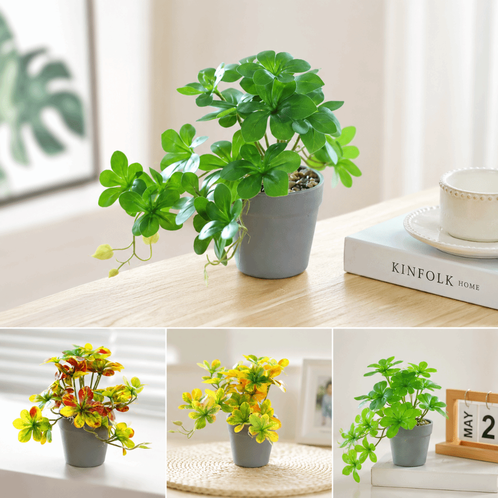 Bonsai Kunstmatige Bonsai Plan - Spider Plant Hanging recensie en prijs