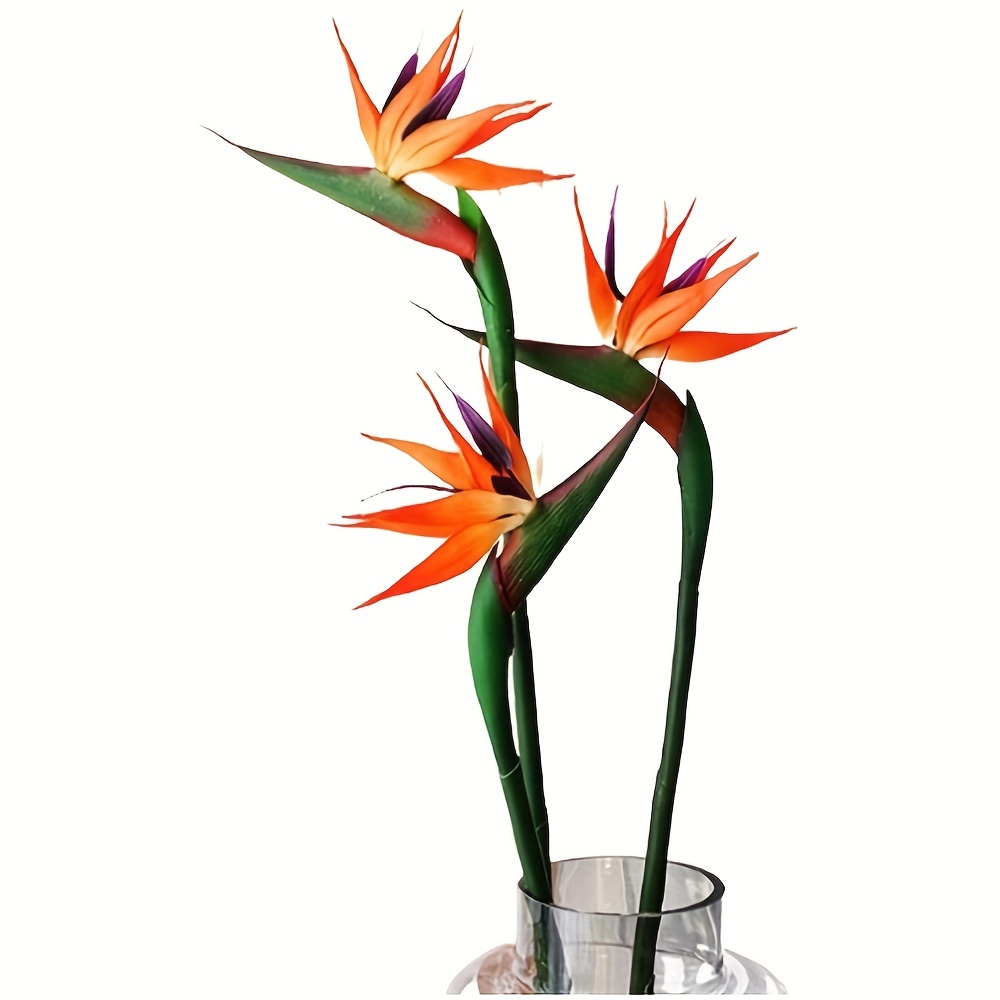 3 Stuks Kunstmatige Vogel Van  - Bird Paradise Strelitzia recensie en prijs
