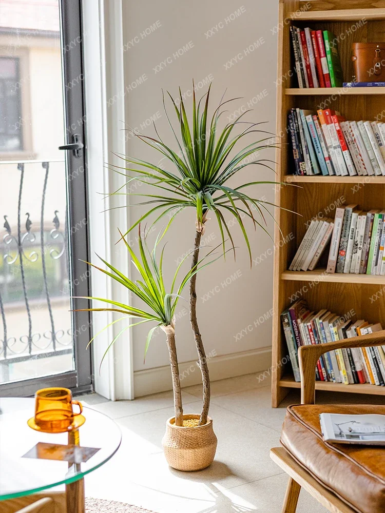 Licht Luxe Simulatie Groene Pl - Dracaena Marginata recensie en prijs