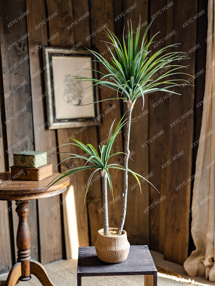 Licht Luxe Simulatie Groene Pl - Dracaena Marginata recensie en prijs