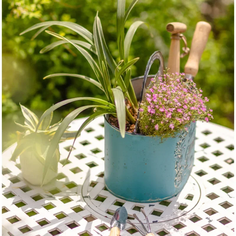 Blauwe hangende muur plantenba - Spider Plant Hanging recensie en prijs
