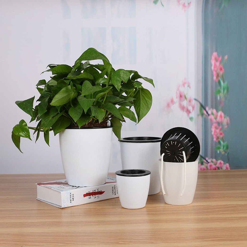 Automatische Bewatering Bloemp - Aloe Vera Pot recensie en prijs