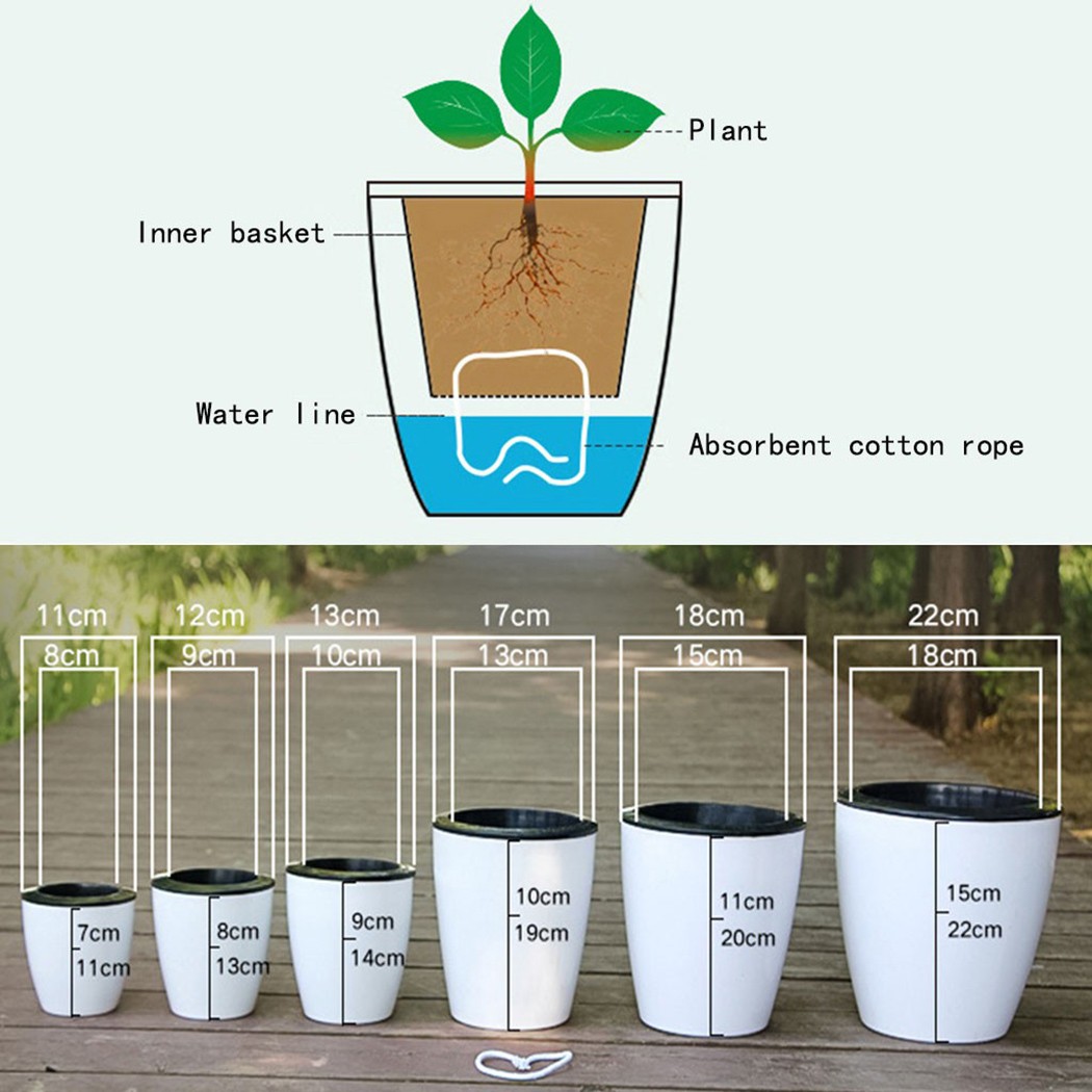 Automatische Bewatering Bloemp - Aloe Vera Pot recensie en prijs