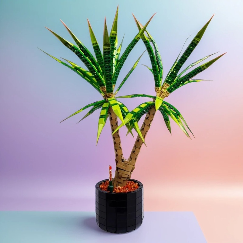 1961-delige MOC Dracaena Margi - Dracaena Marginata recensie en prijs