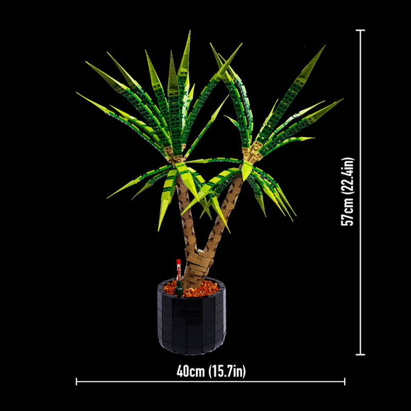 1961-delige MOC Dracaena Margi - Dracaena Marginata recensie en prijs