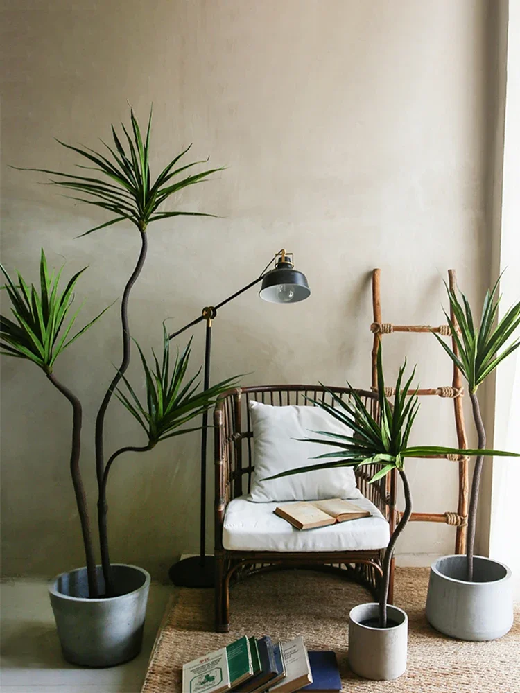 Simulatieplant Dracaena Margin - Dracaena Marginata recensie en prijs