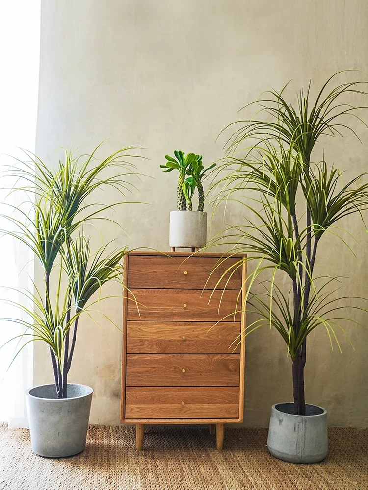 Simulatieplant Dracaena Margin - Dracaena Marginata recensie en prijs