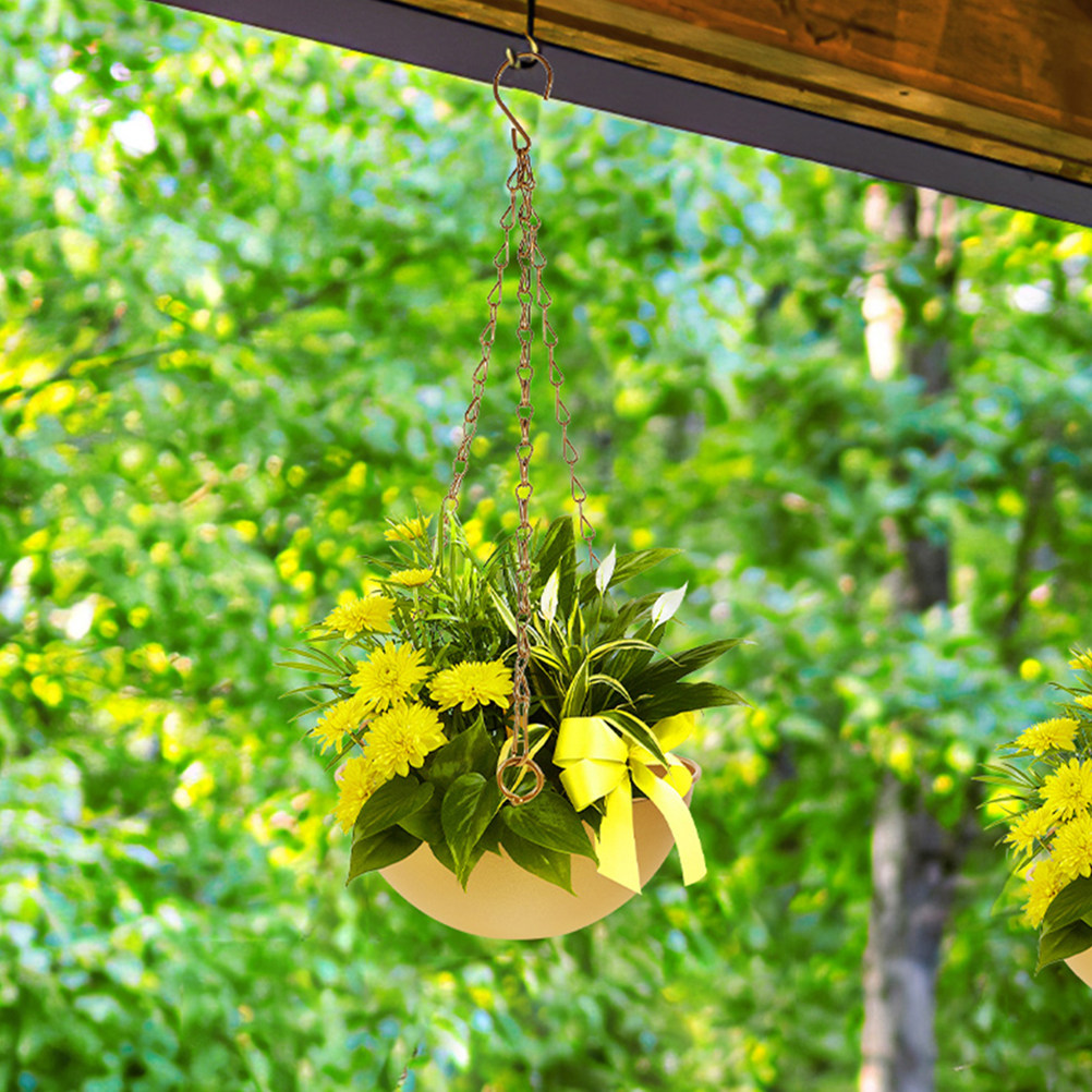 2 stuks stevige ijzeren hangen - Spider Plant Hanging recensie en prijs