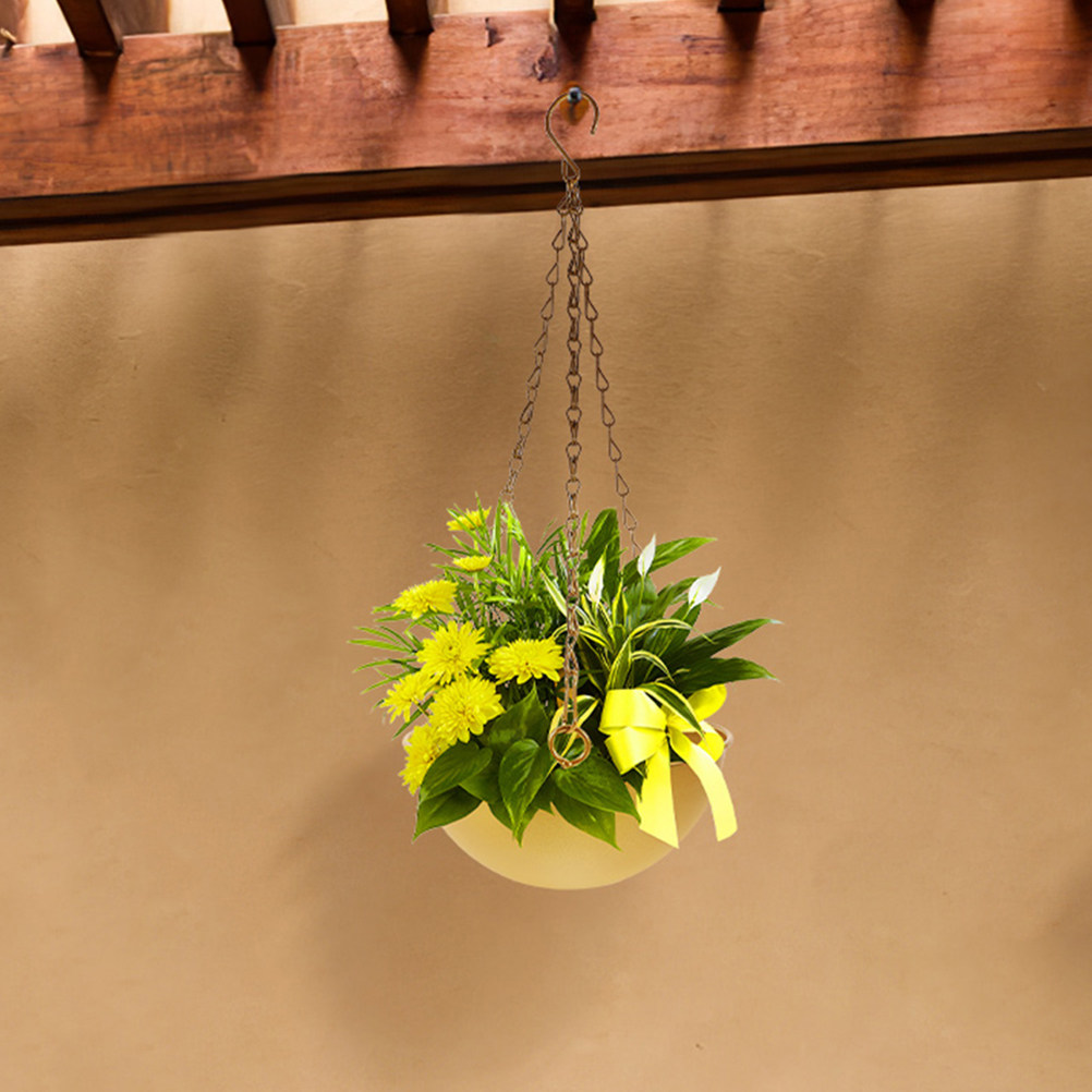 2 stuks stevige ijzeren hangen - Spider Plant Hanging recensie en prijs