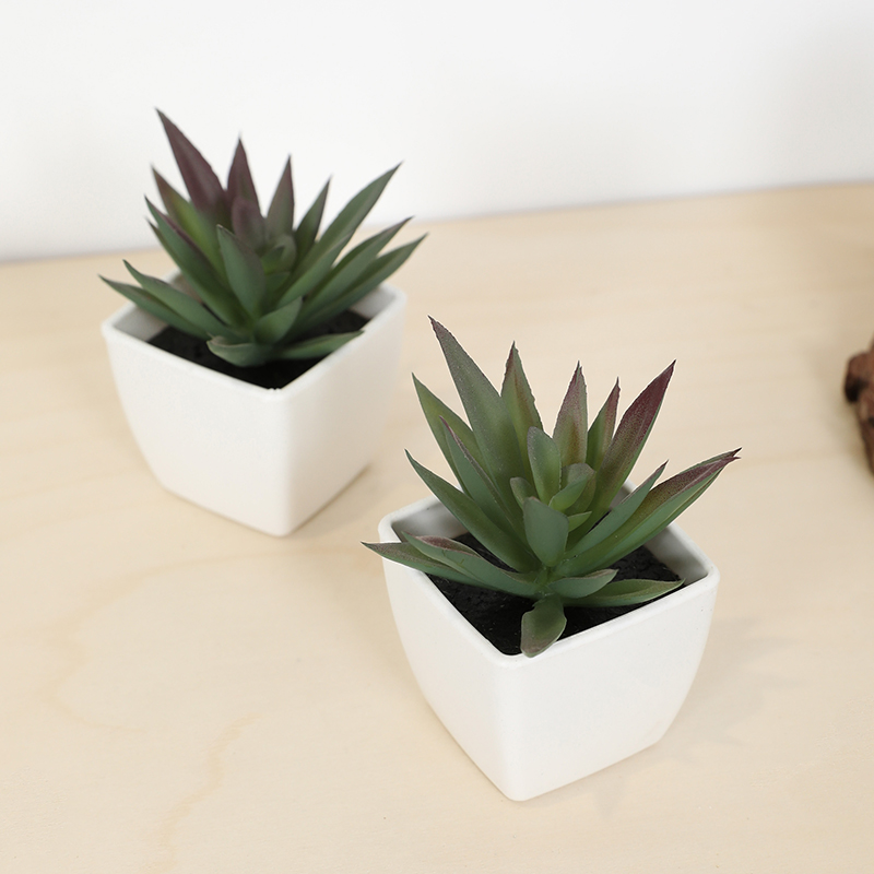 Mini Kunstmatige Succulente Fe - Echeveria Succulent recensie en prijs