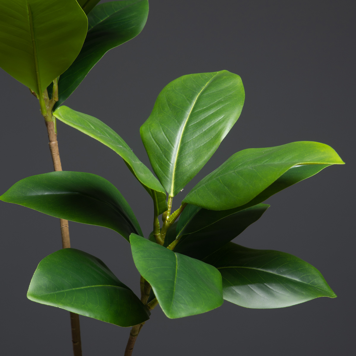 105 cm 2 Vorken Grote Kunstpla - Dracaena Marginata recensie en prijs