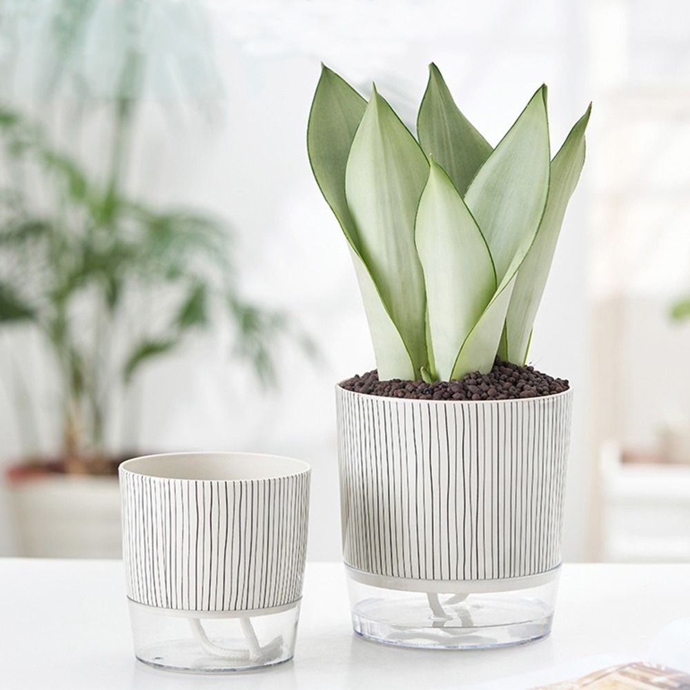 Transparante zelfwatergevende  - Aloe Vera Pot recensie en prijs