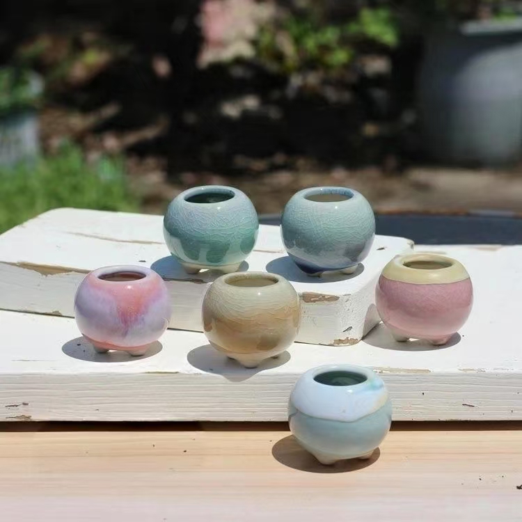 6 Stuks Mini Bloempot Vetplant - Echeveria Succulent recensie en prijs