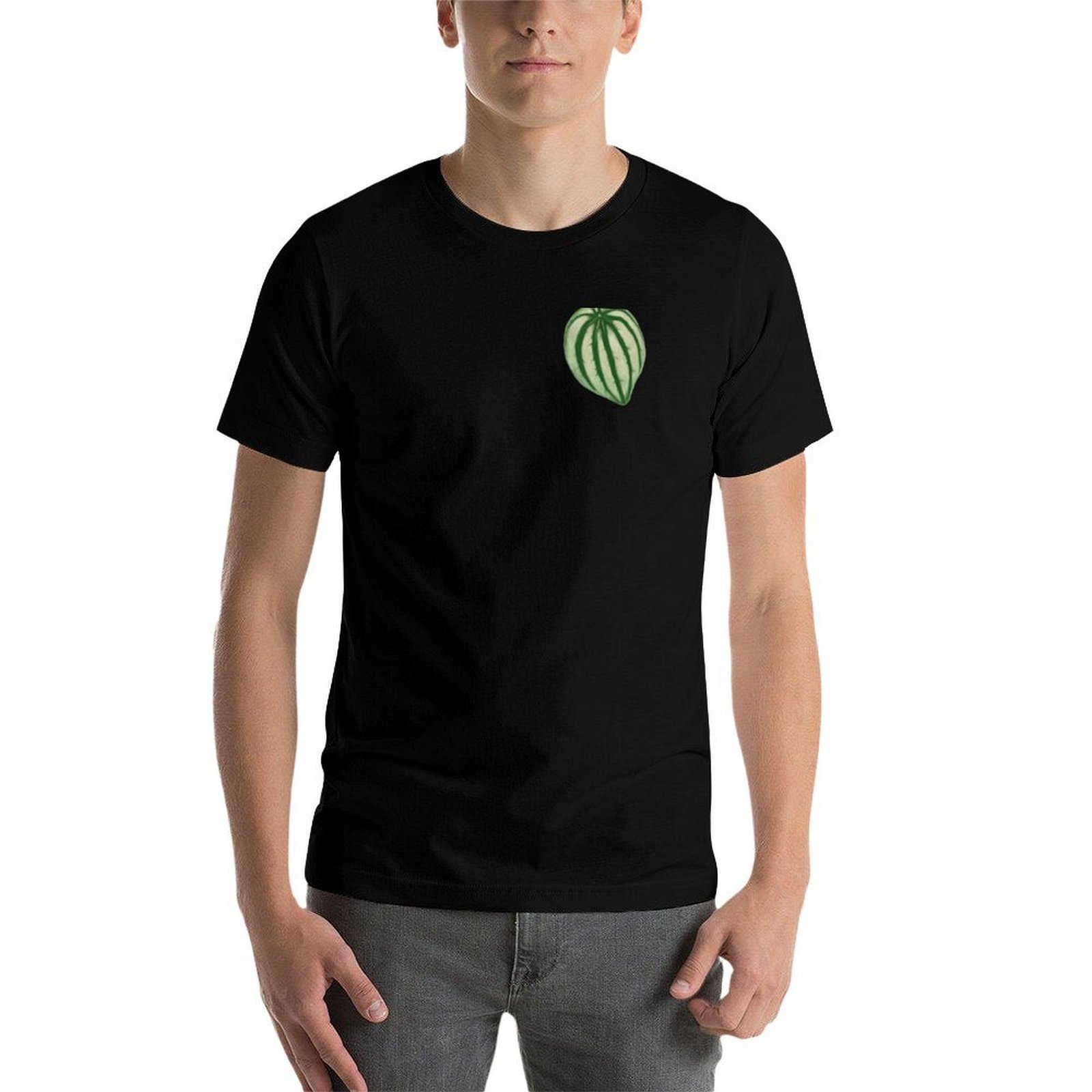 Watermeloen Peperomia T-shirt  - Peperomia Watermelon recensie en prijs